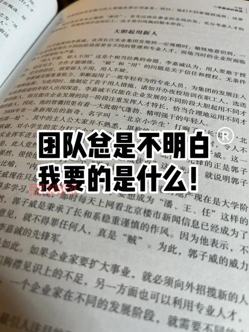 青云加点大揭秘：输出爆表，团队核心