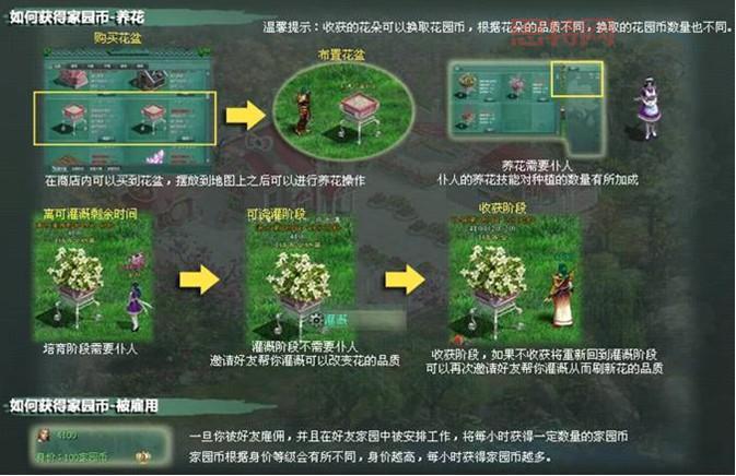 征途2家园升级攻略：快速提升家园等级