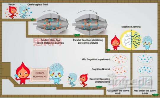 ad的多重含义：从广告到阿尔茨海默病