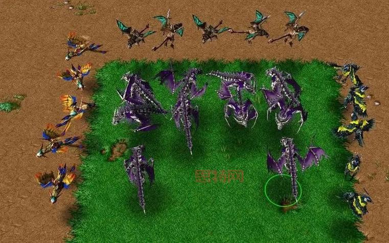 想要魔兽RPG地图打包下载？这个合集满足你所有需求