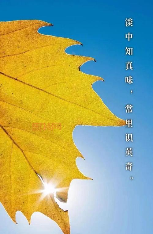 红尘的深意解析：从繁华都市到人间俗世