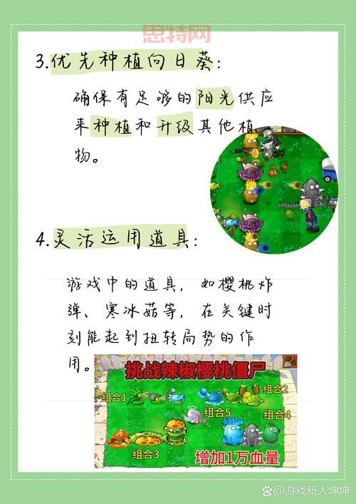 植物大战僵尸宝开难不难？超详细玩法技巧分享！