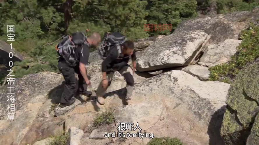 劫符文加点怎么选？老司机教你几招轻松搞定！