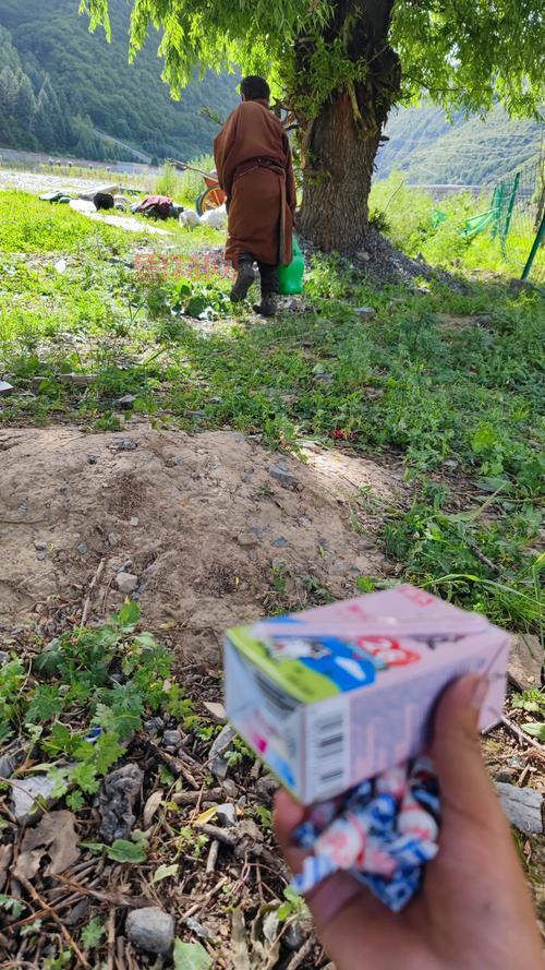 火炬之光2异域行者加点攻略：敏捷与力量如何合理分配