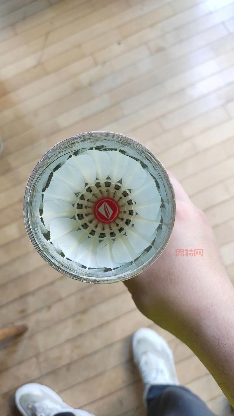 揭秘羽毛球：为什么大多数使用鹅毛 *** ？