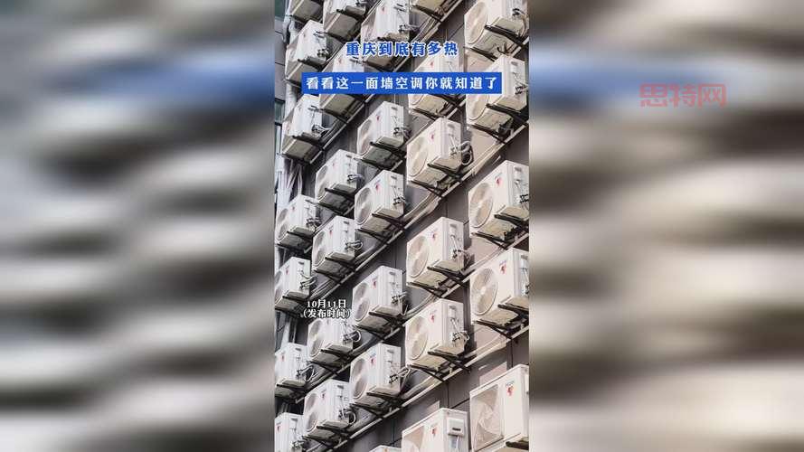 仙踪林com是真的吗？为你揭秘网站背后的真相！