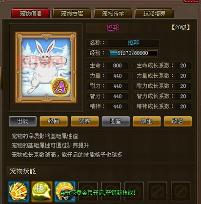 海贼王无双3中文版在哪下载？正版游戏购买指南！