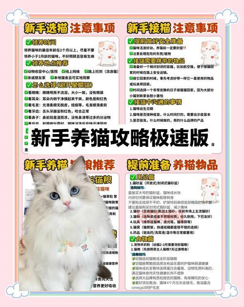 猫射手存档怎么用才正确？新手玩家看这里避免丢失进度！