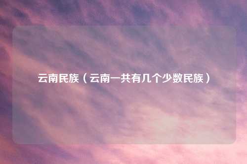 云南民族（云南一共有几个少数民族）