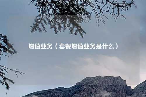 增值业务（套餐增值业务是什么）
