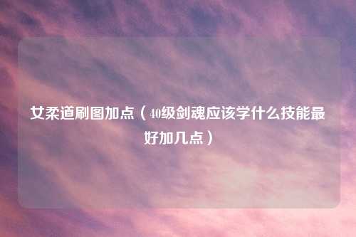 女柔道刷图加点（40级剑魂应该学什么技能最好加几点）