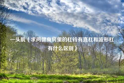 一头肌（求问健身房里的杠铃有直杠和波形杠有什么区别）