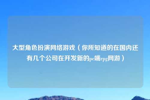 大型角色扮演网络游戏（你所知道的在国内还有几个公司在开发新的pc端rpg网游）