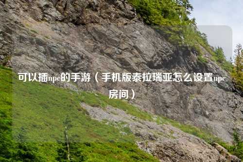 可以插npc的手游（手机版泰拉瑞亚怎么设置npc房间）
