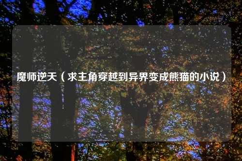 魔师逆天（求主角穿越到异界变成熊猫的小说）