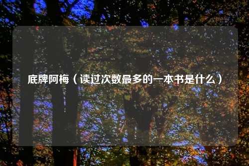 底牌阿梅（读过次数最多的一本书是什么）
