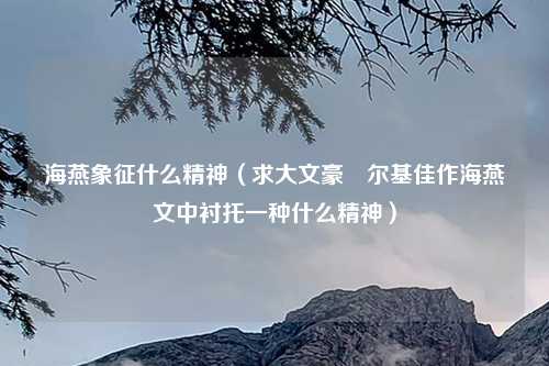 海燕象征什么精神（求大文豪髙尔基佳作海燕文中衬托一种什么精神）