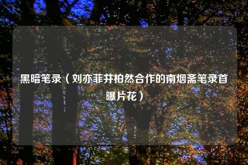 黑暗笔录（刘亦菲井柏然合作的南烟斋笔录首曝片花）
