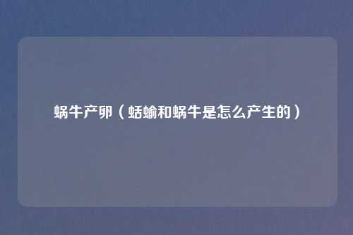 蜗牛产卵（蛞蝓和蜗牛是怎么产生的）
