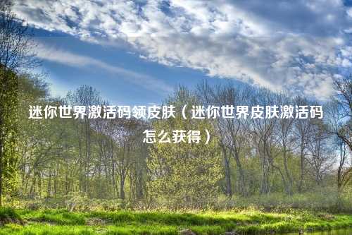 迷你世界激活码领皮肤（迷你世界皮肤激活码怎么获得）