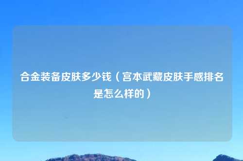 合金装备皮肤多少钱（宫本武藏皮肤手感排名是怎么样的）
