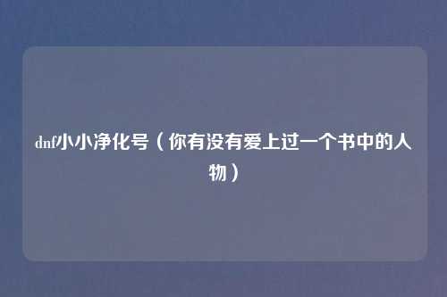 dnf小小净化号（你有没有爱上过一个书中的人物）