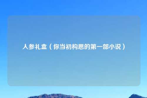人参礼盒（你当初构思的第一部小说）