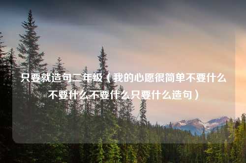 只要就造句二年级（我的心愿很简单不要什么不要什么不要什么只要什么造句）