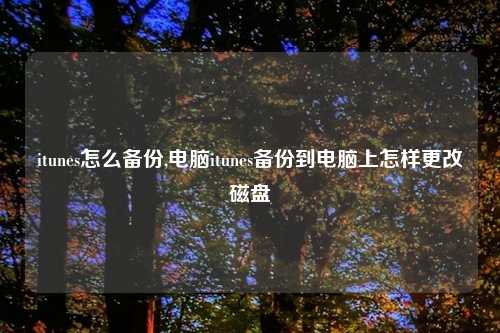 itunes怎么备份,电脑itunes备份到电脑上怎样更改磁盘