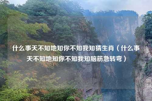 什么事天不知地知你不知我知猜生肖（什么事天不知地知你不知我知脑筋急转弯）