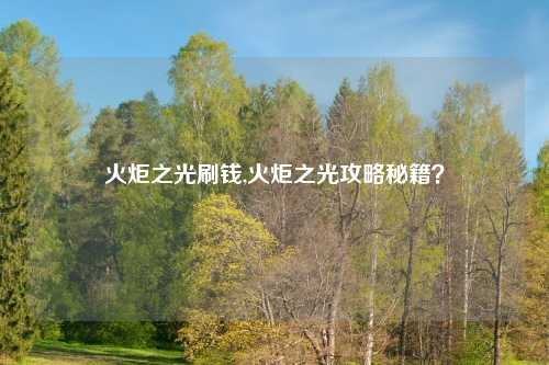 火炬之光刷钱,火炬之光攻略秘籍？