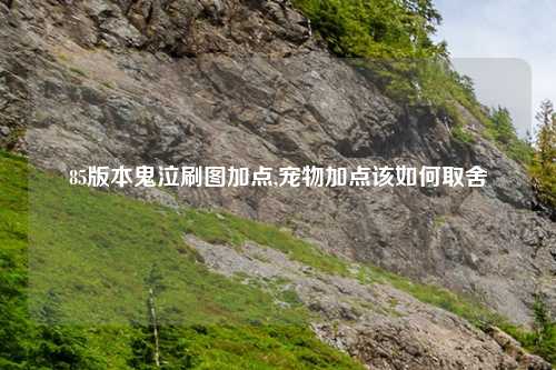 85版本鬼泣刷图加点,宠物加点该如何取舍