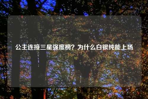 公主连接三星强度榜？为什么白银纯能上场