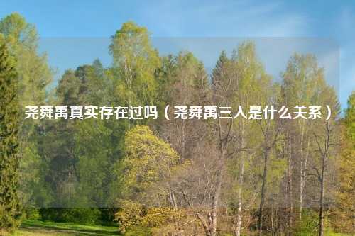 尧舜禹真实存在过吗（尧舜禹三人是什么关系）