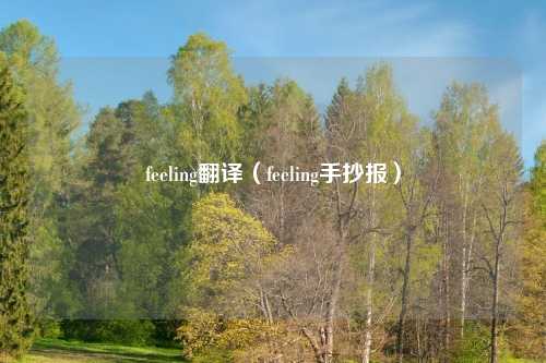 feeling翻译（feeling手抄报）