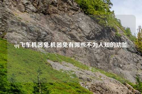 qq飞车机器兔,机器兔有哪些不为人知的功能