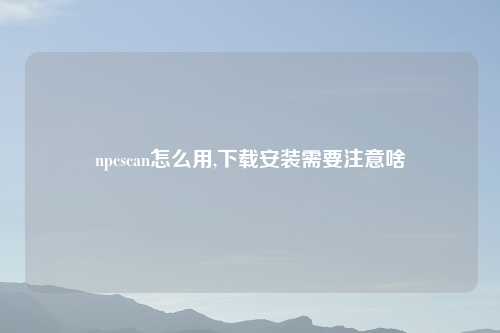 npcscan怎么用,下载安装需要注意啥