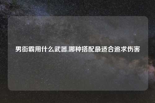 男街霸用什么武器,哪种搭配最适合追求伤害