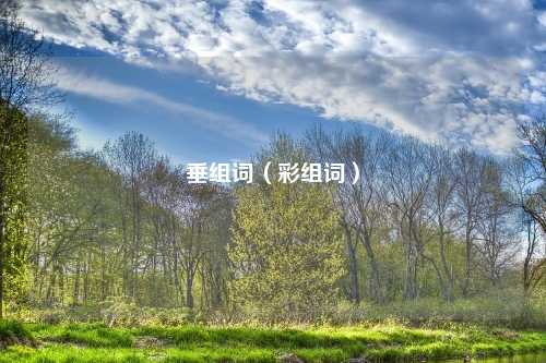 垂组词（彩组词）