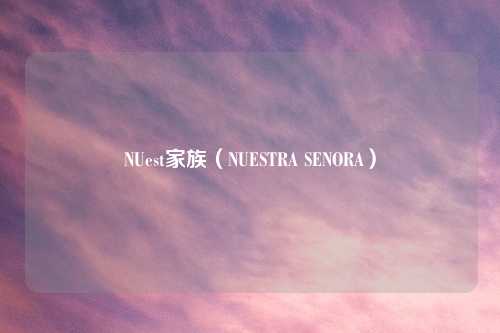 NUest家族（NUESTRA SENORA）