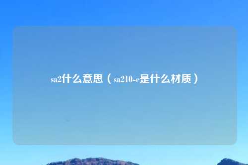 sa2什么意思（sa210-c是什么材质）