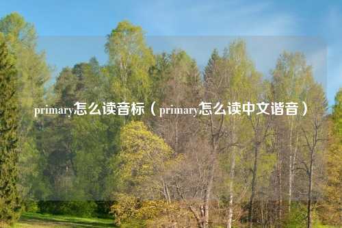 primary怎么读音标（primary怎么读中文谐音）