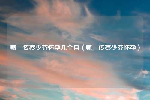 甄嬛传蔡少芬怀孕几个月（甄嬛传蔡少芬怀孕）
