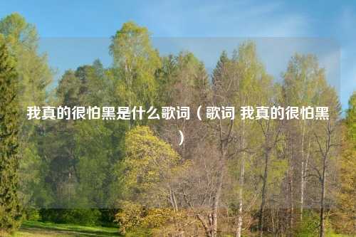我真的很怕黑是什么歌词（歌词 我真的很怕黑）