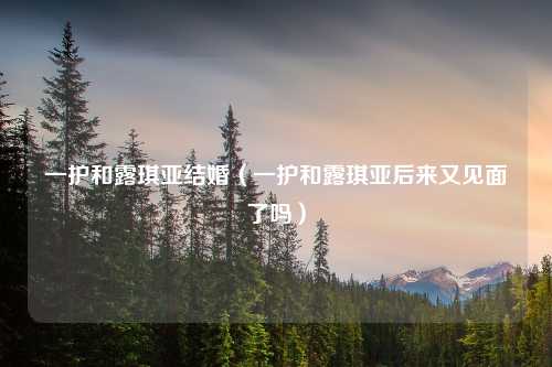 一护和露琪亚结婚（一护和露琪亚后来又见面了吗）