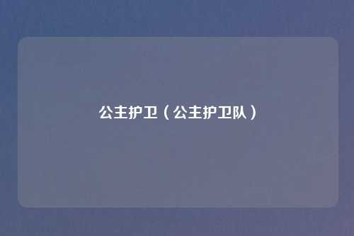 公主护卫（公主护卫队）