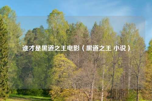 谁才是黑道之王电影（黑道之王 小说）