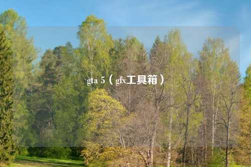 gta 5（gfx工具箱）