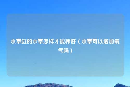 水草缸的水草怎样才能养好（水草可以增加氧气吗）