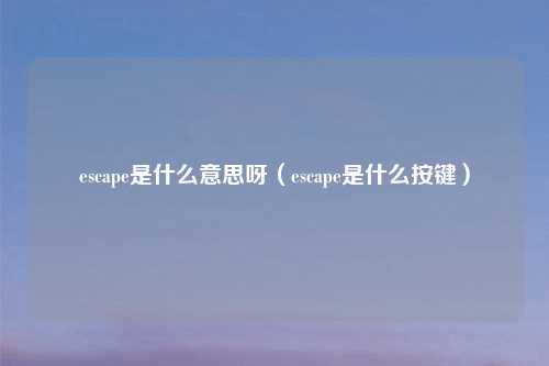 escape是什么意思呀（escape是什么按键）